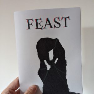 An A5 zine held against a plain white wall. The cover shows a silhouetted standing stone entwined with green vines under a header that reads FEAST.